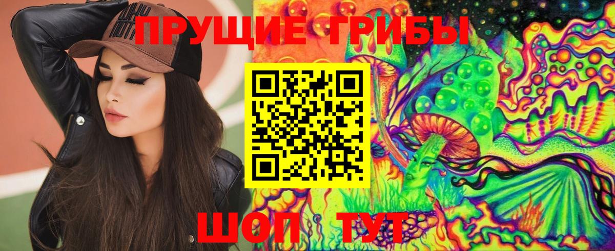 Ставрополь  Псилоцибиновые грибы Magic Shrooms  Вход с VPN 