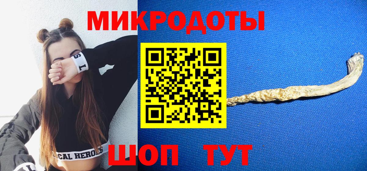 Псилоцибиновые грибы GOLDEN TEACHER Ставрополь