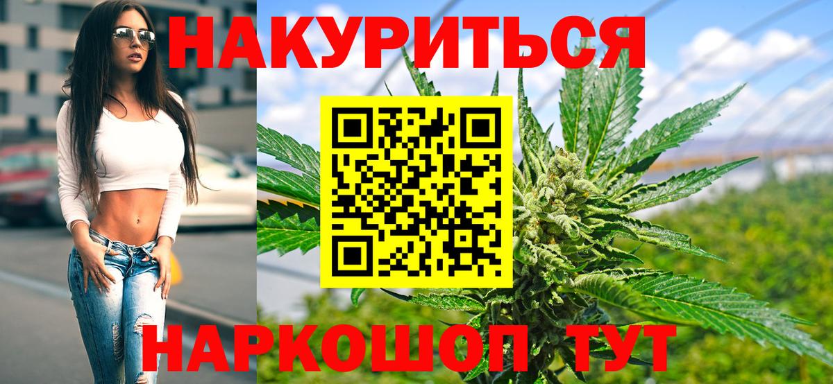 Бошки Шишки MAZAR Ставрополь